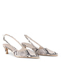 Dante6, Walston Pumps