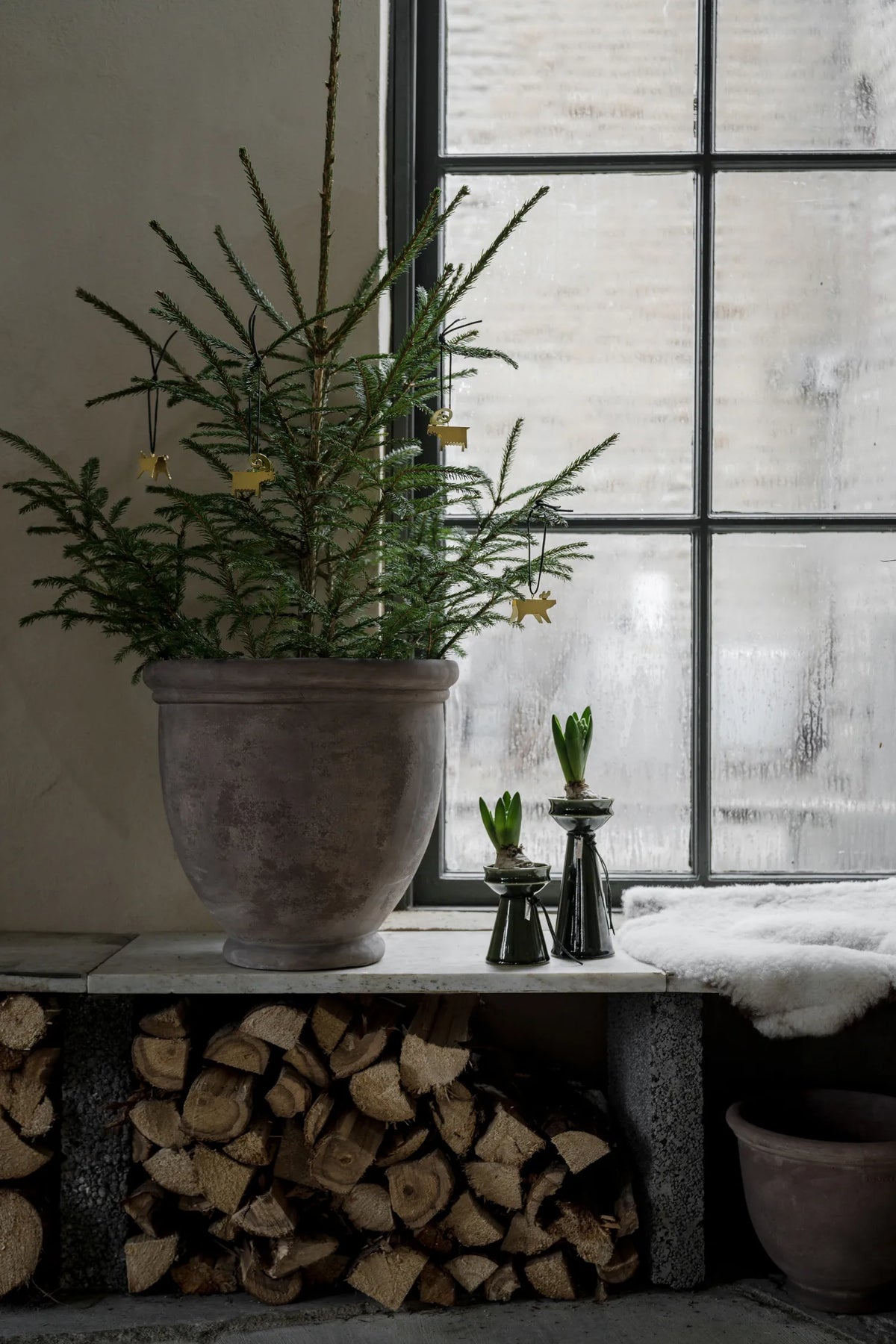 ERNST, Sipulimaljakko