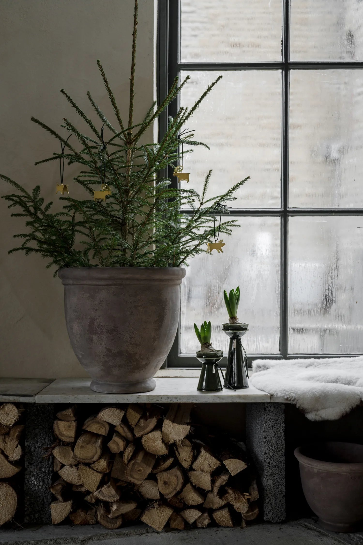 ERNST, Sipulimaljakko