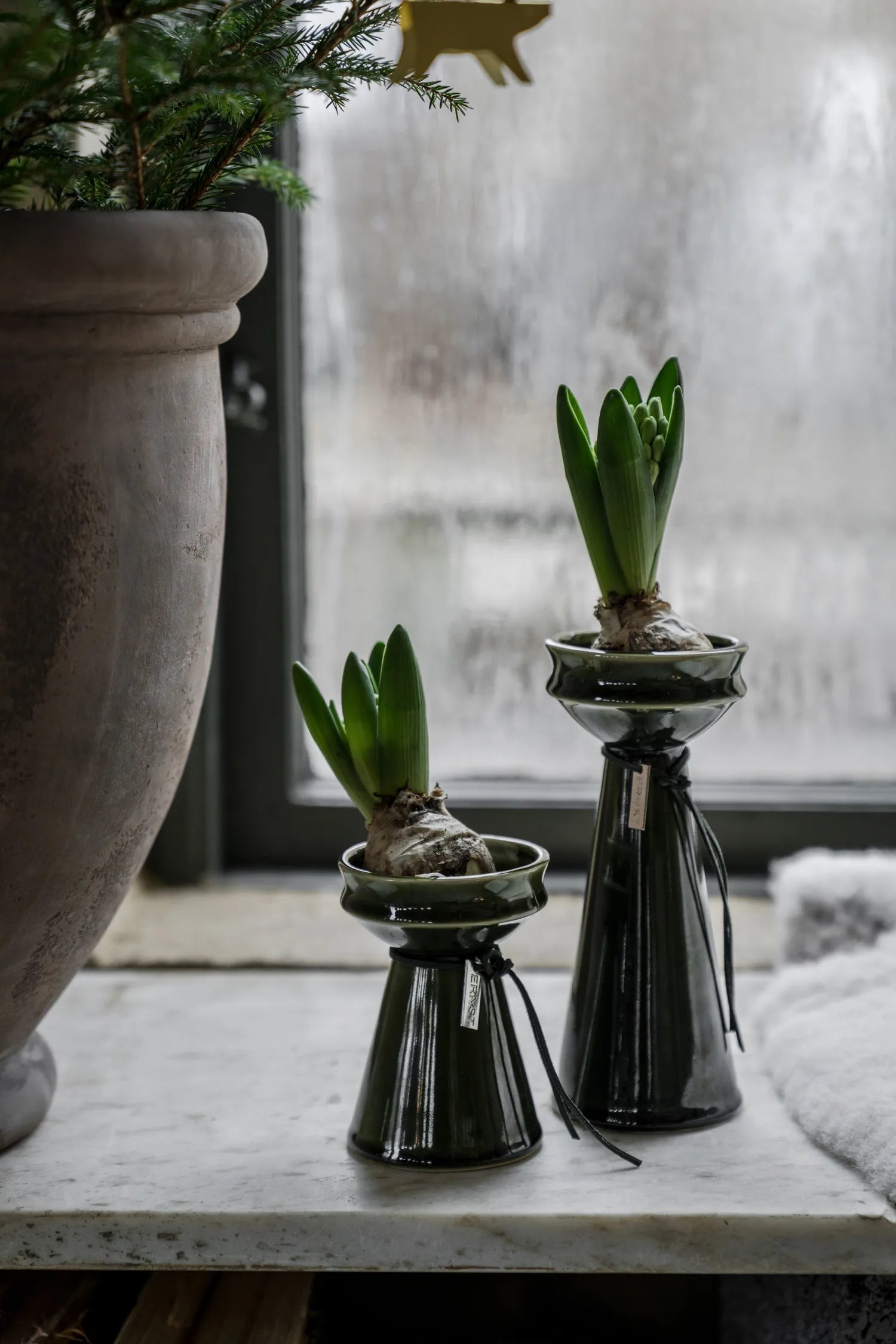 ERNST, Sipulimaljakko