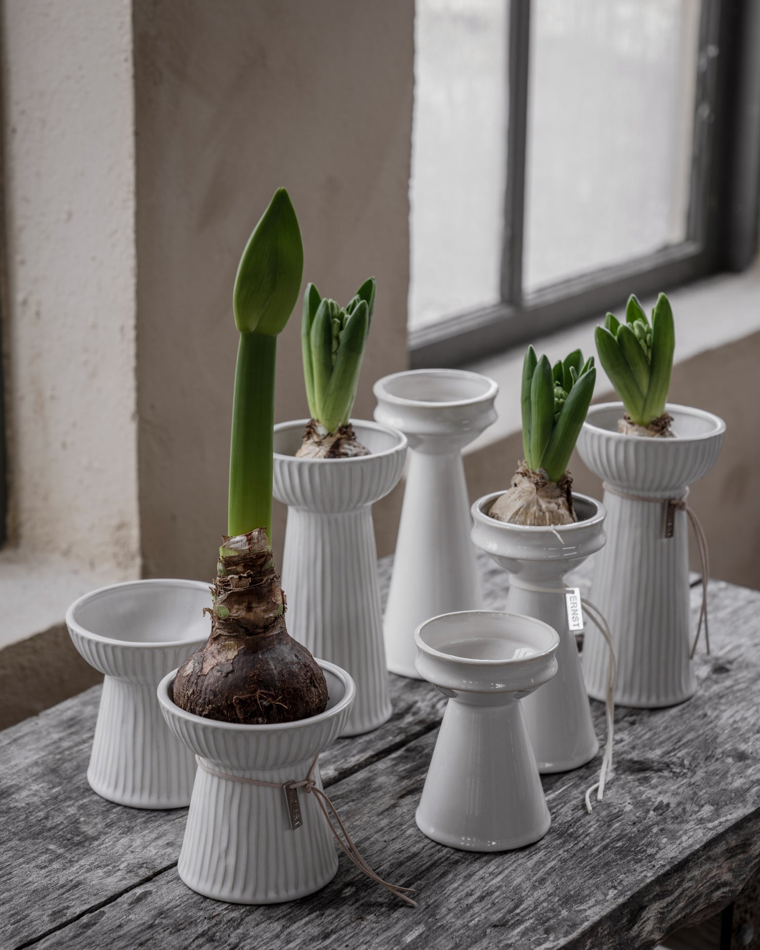 Ernst sipulimaljakko 16 cm