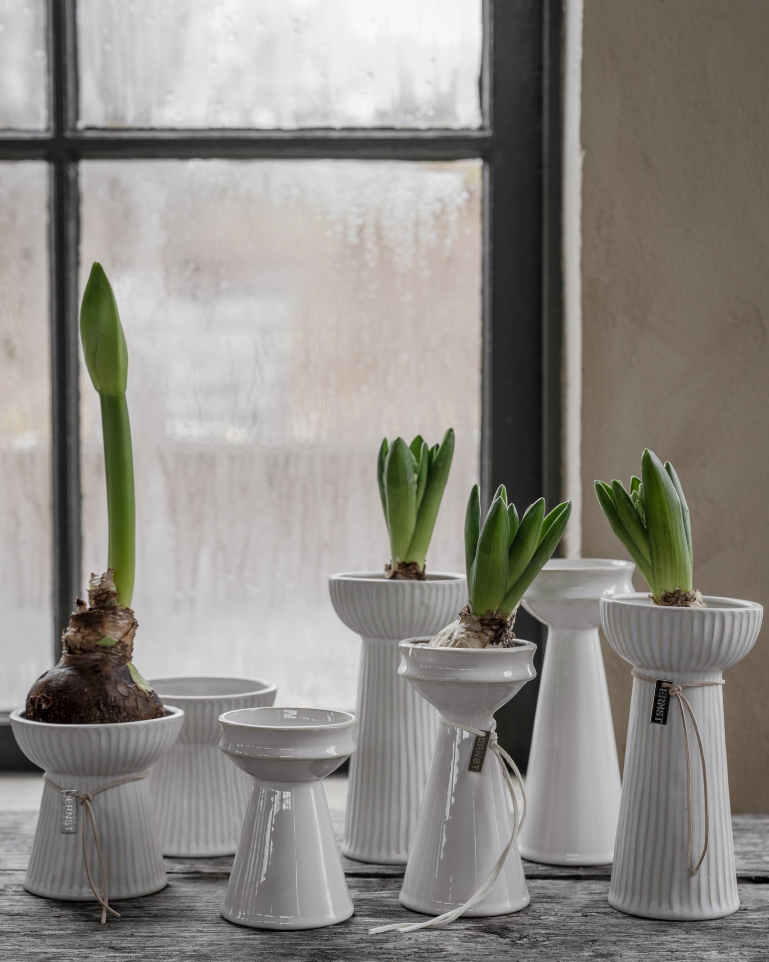 Ernst sipulimaljakko 16 cm