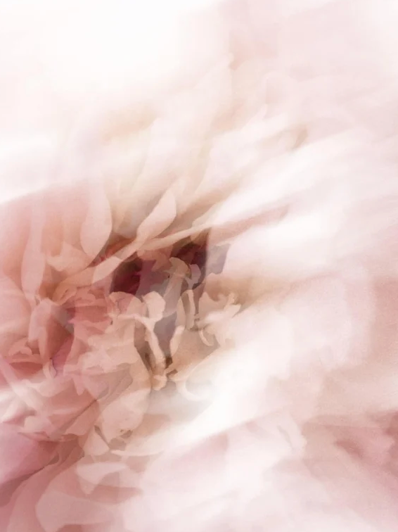 Rich Moisturiser 50 ml