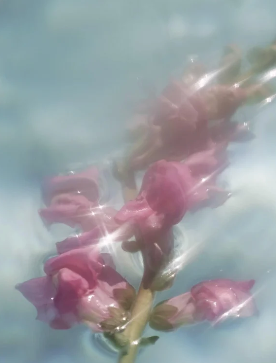 Deep Hydrating Serum 30 ml