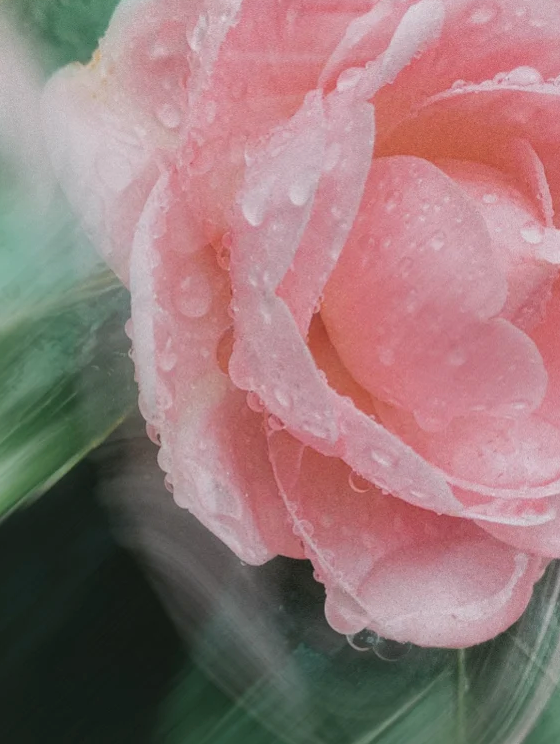 Soleil Lumière Sunscreen 150ml