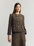 Raya Boucle Bleiseri, Andiata