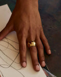 Edblad, Prime Ring Gold